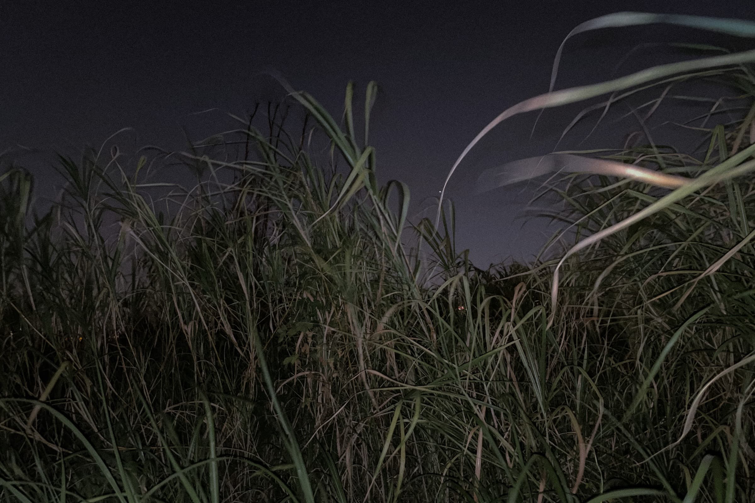 After Dark 2022-09-11 01