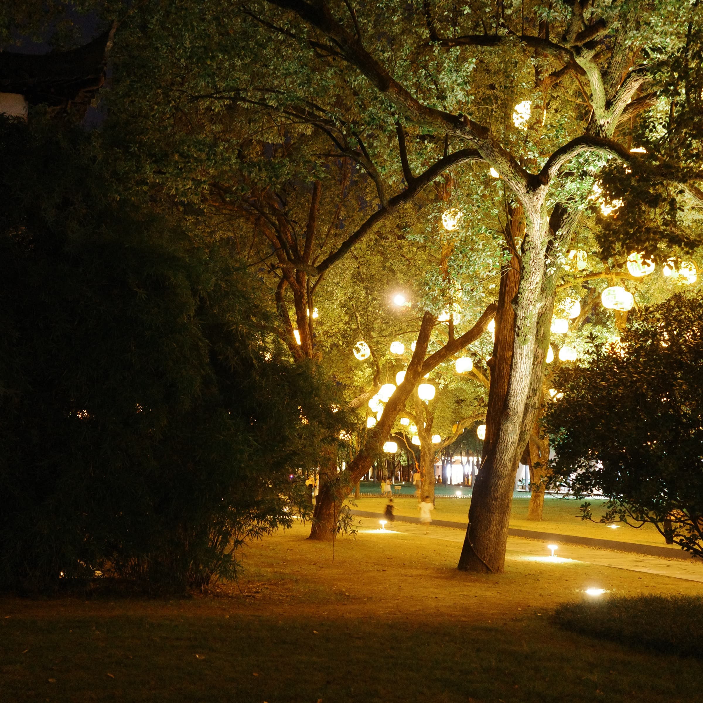 After Dark 2024-08-14 01