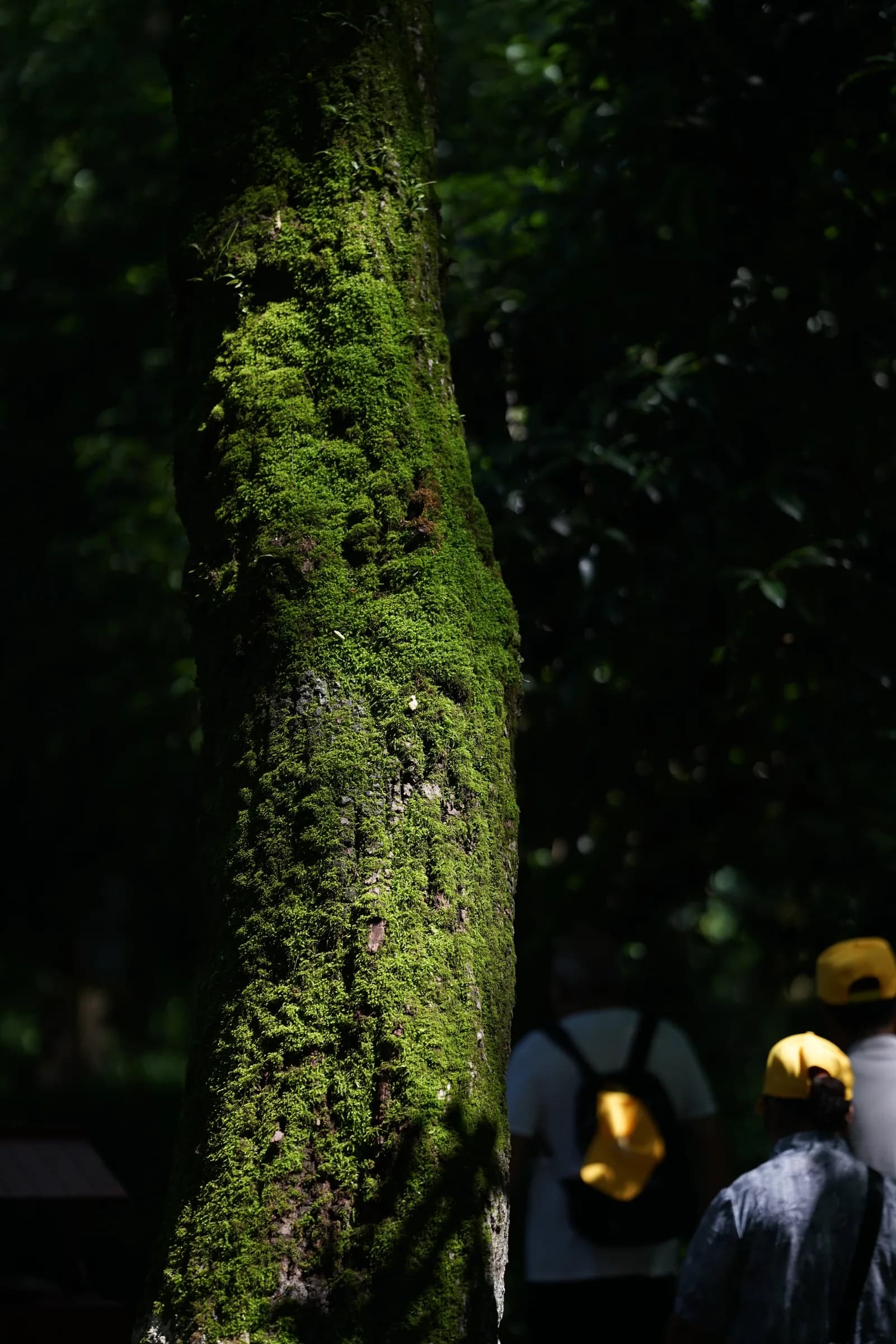 Hangzhou 05
